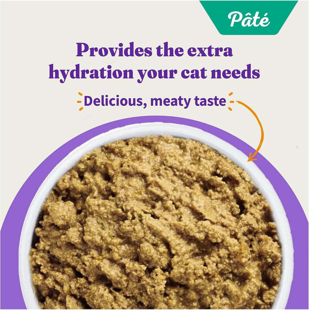 Pate Wet Cat Food, Real Turkey Recipe, 5.5 oz Can, 12-Pack
