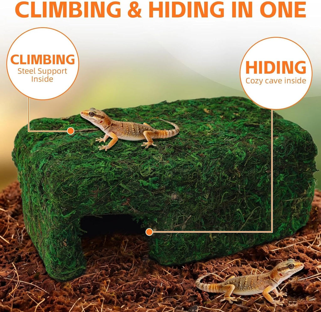 Small Green Reptiles Cave Hideout, Lizard Moss Hide