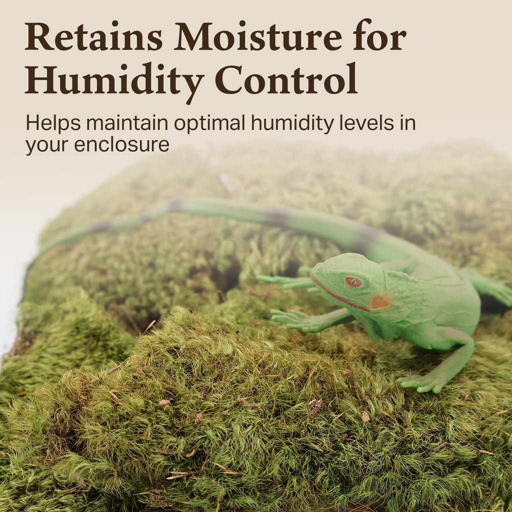 Mood Moss for Terrarium Habitats, Small 1-Pack