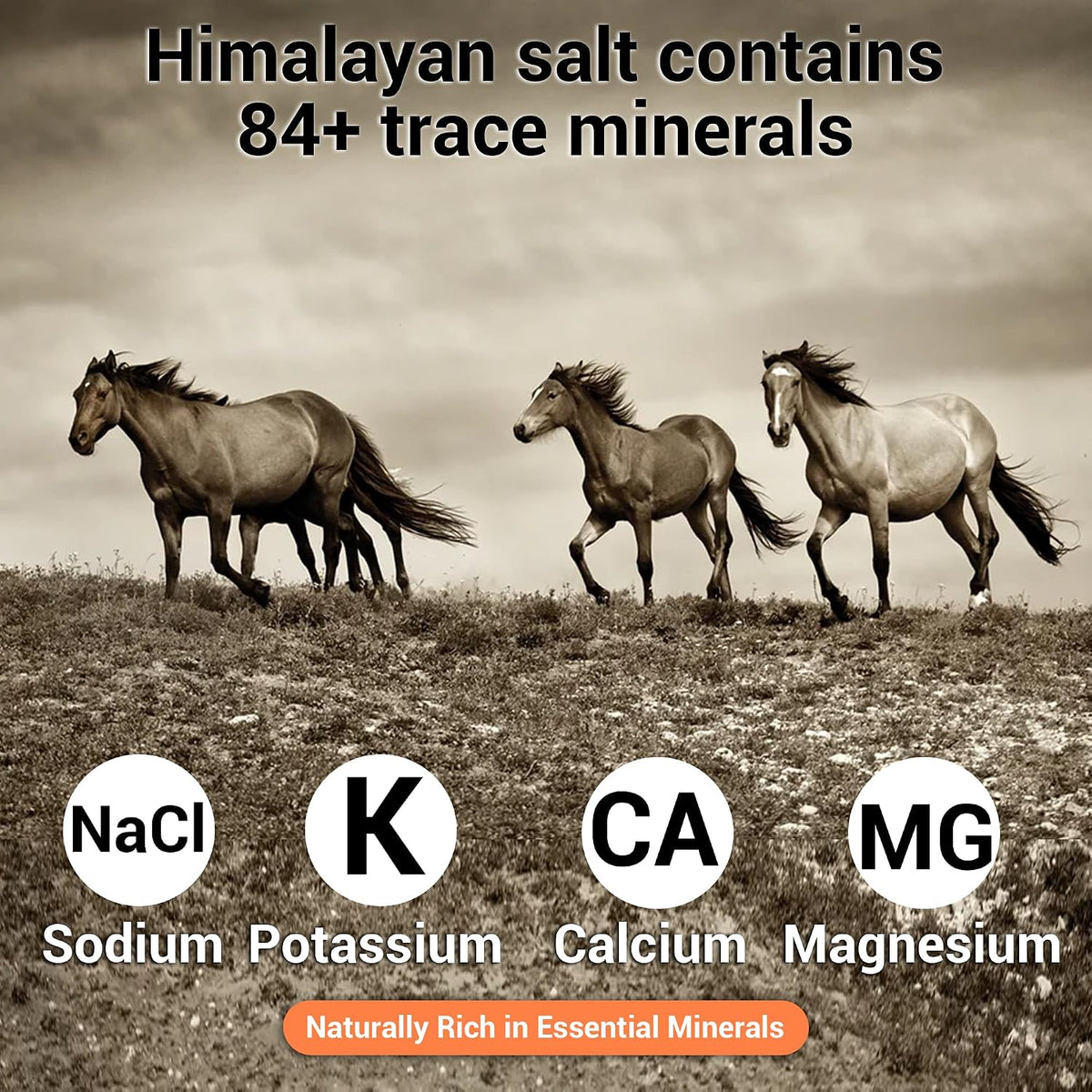 Pack of 4 Compressed 7-8 Lbs Himalayan Salt Licks for Horse Deer