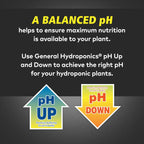 pH Up and pH Down Liquids - Stabilize Nutrient pH in Hydroponics, 1 qt. Bottles