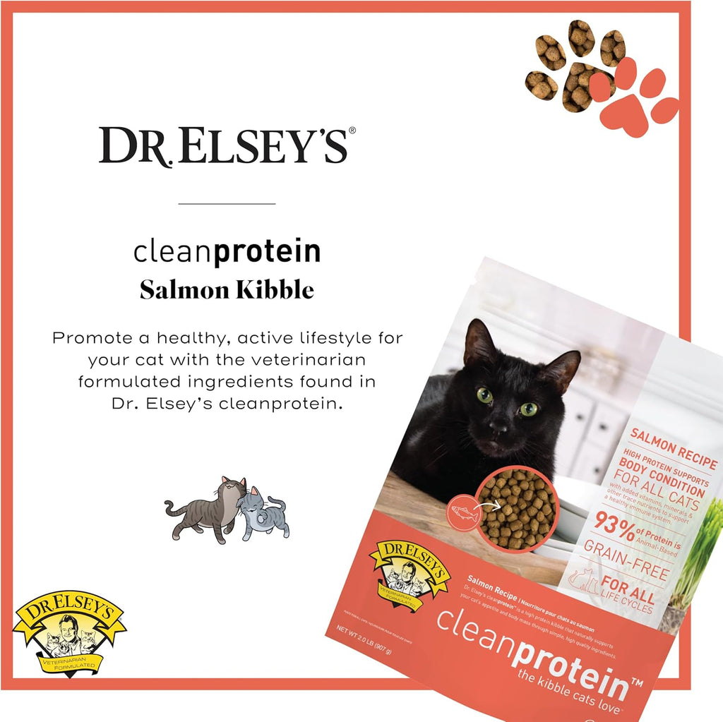 Cleanprotein Salmon Formula Dry Cat Food, 2 Pound (Pack of 1)