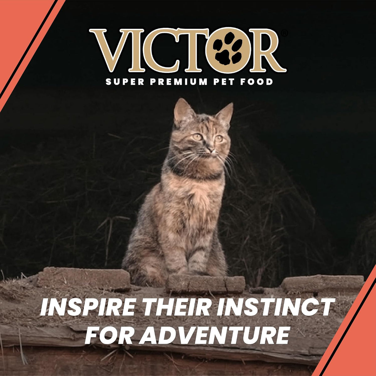 Hunter's Instinct High Protein Salmon Recipe for Adult Cats, 5lb
