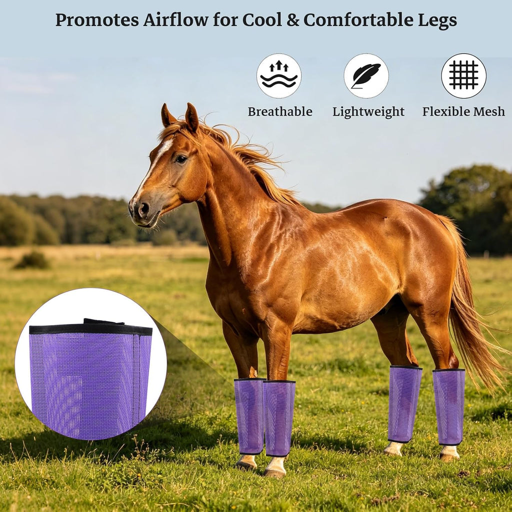 Mesh Horse Fly Boots, Purple, Set of 4