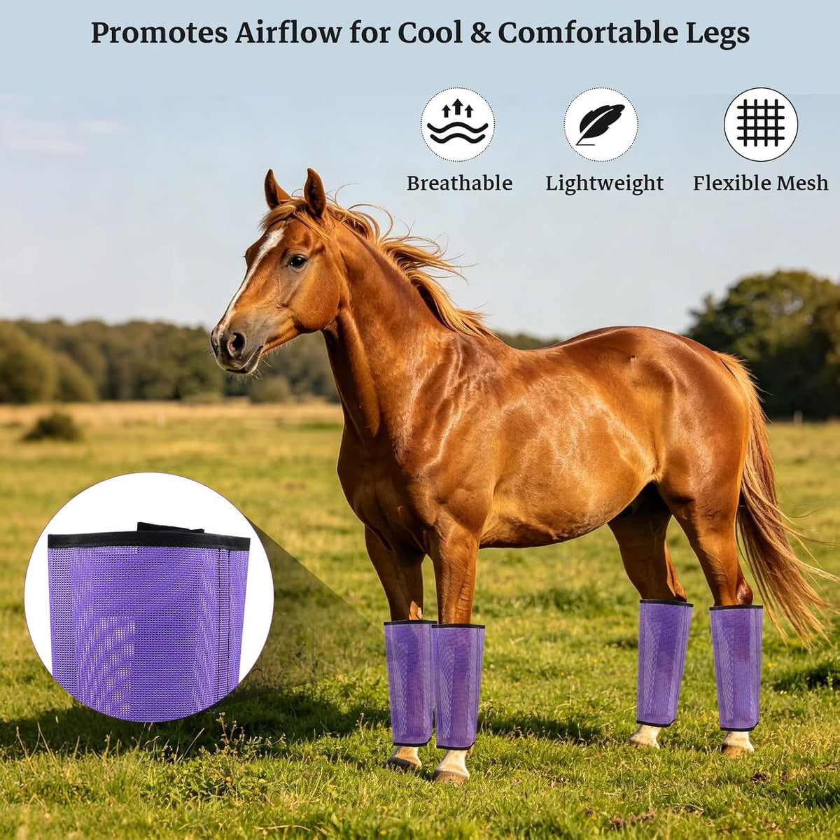 Mesh Horse Fly Boots, Purple, Set of 4