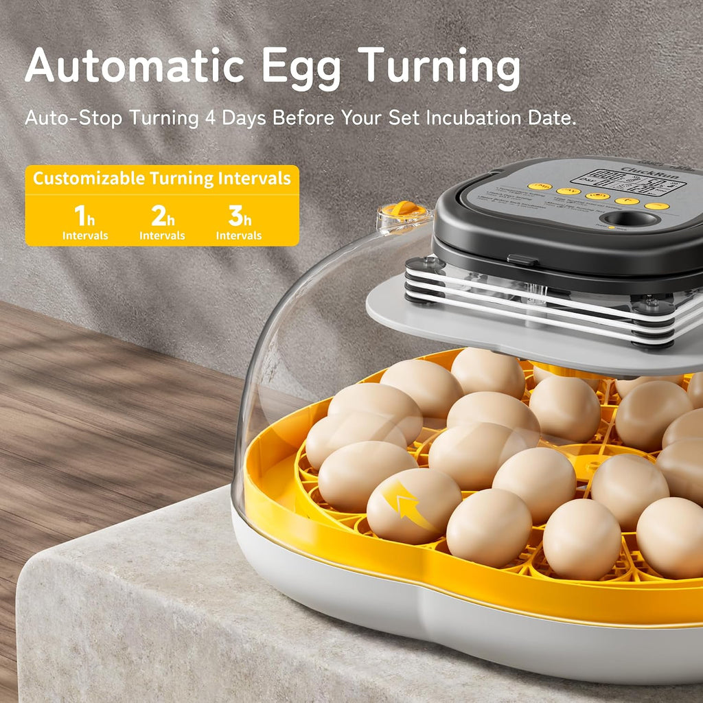 25 Egg Incubators for Hatching Eggs, Auto Turning, Temp & Humidity Control
