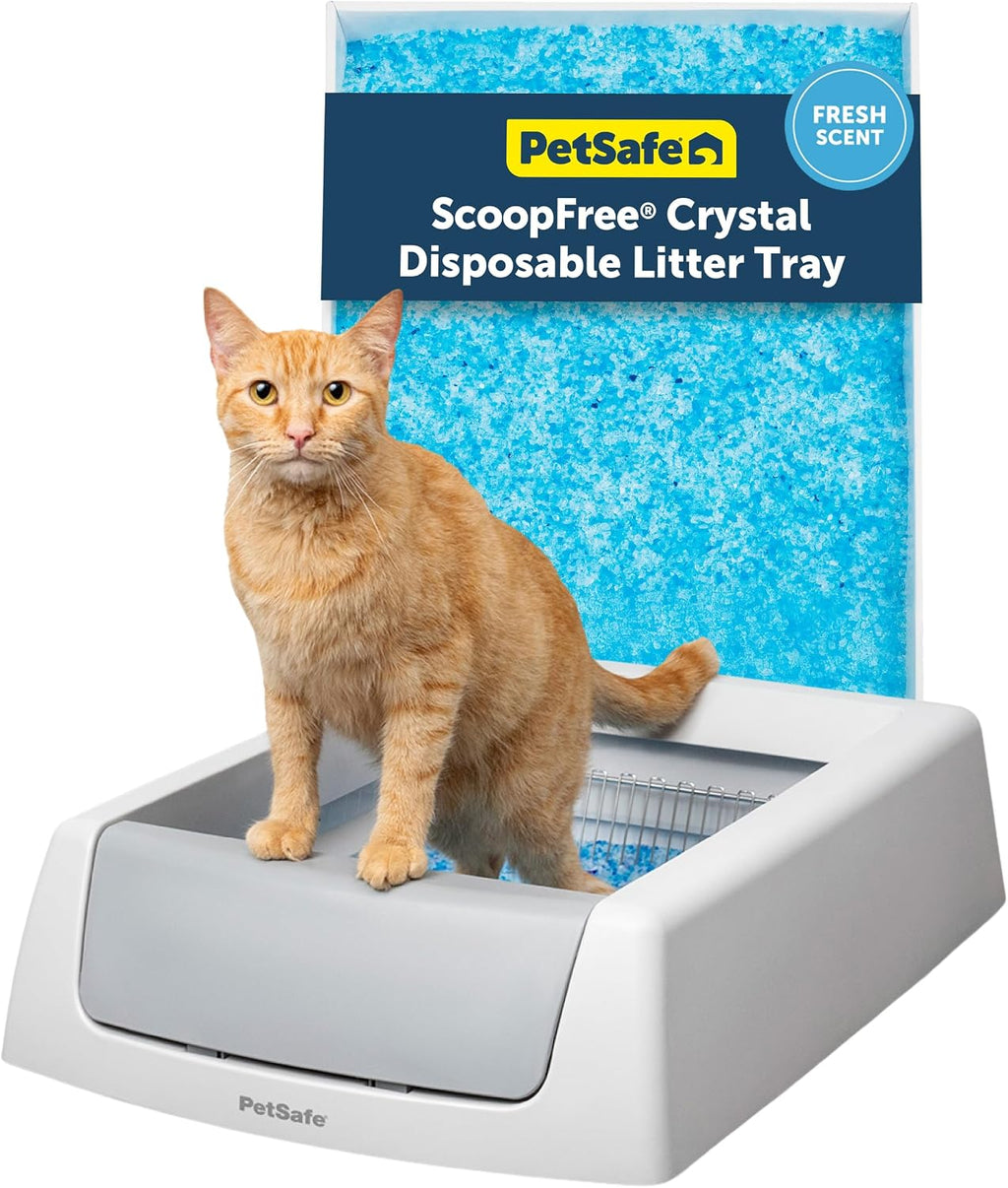 ScoopFree Crystal Classic Self-Cleaning Litter Box, Gray