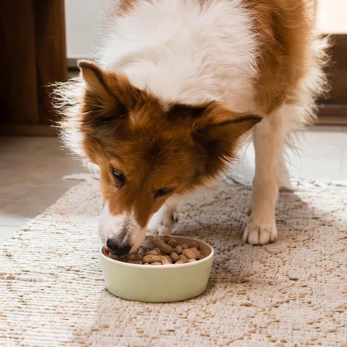 Freeze Dried Raw Dog Food, Humanely Raised Meat Recipe with Non-GMO Superfoods and No Artificial Flavors or
