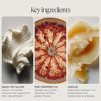 Grass-Fed Tallow Lip Balm, Citrus, Moisturizing