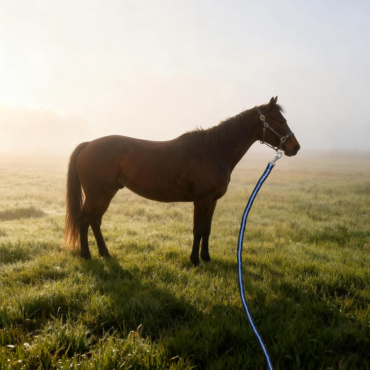 26FT Horse Lunge Line with Tangle-Free Swivel Snap,Quick Release,Heavy Duty Flat Training Rope for Lunging