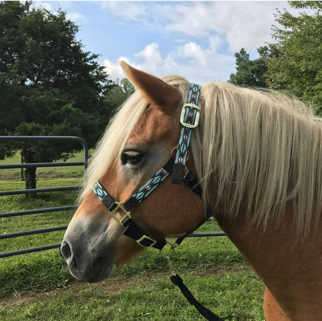 Patterned Nylon Adjustable Horse Halters with Padded Noseband and Matching 10’ Soft Grip Lead Rope