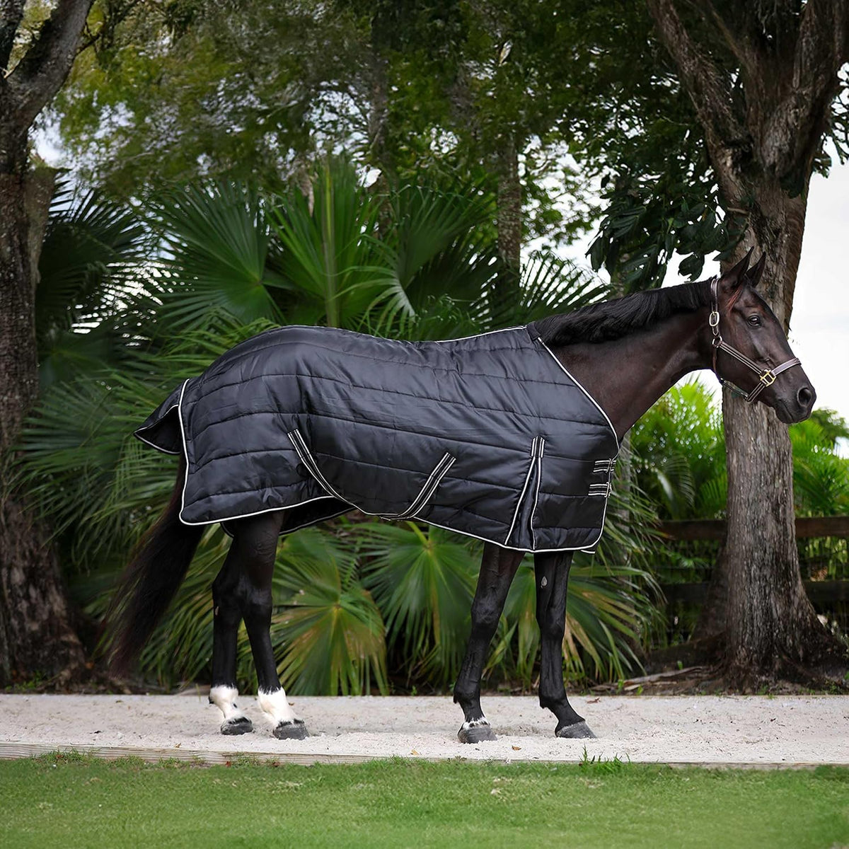 Norse Gusseted Stable Blanket 100g - Black - 81 in