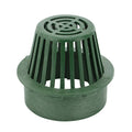 6-Inch Green Atrium Grate