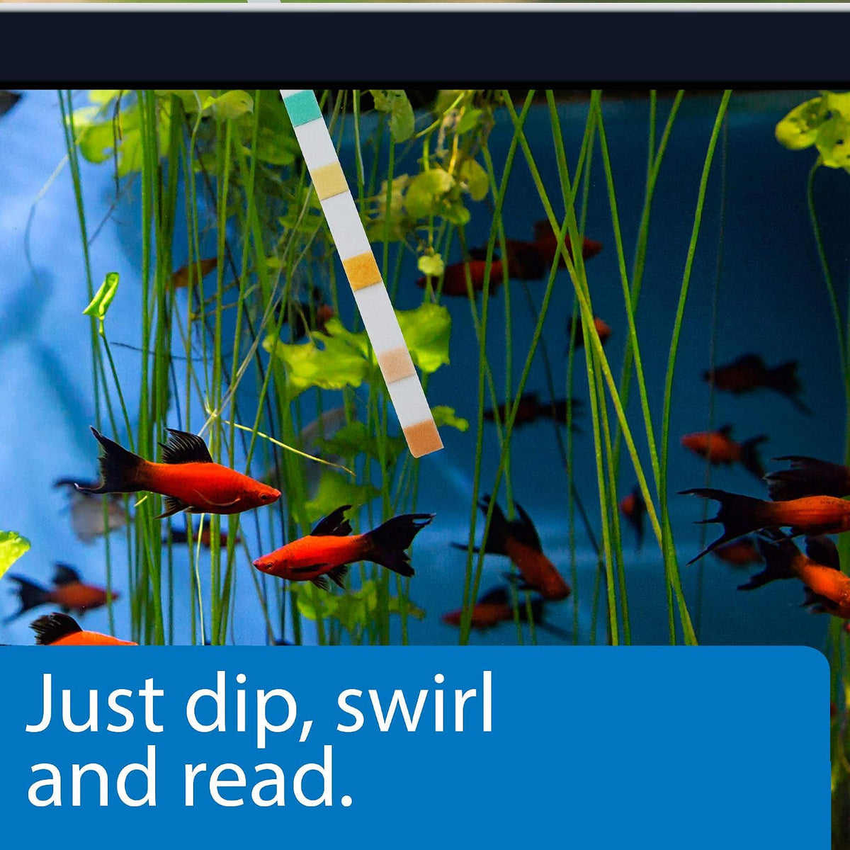 5-in-1 Test Strips Freshwater and Saltwater Aquarium Test Strips 25-Count Box