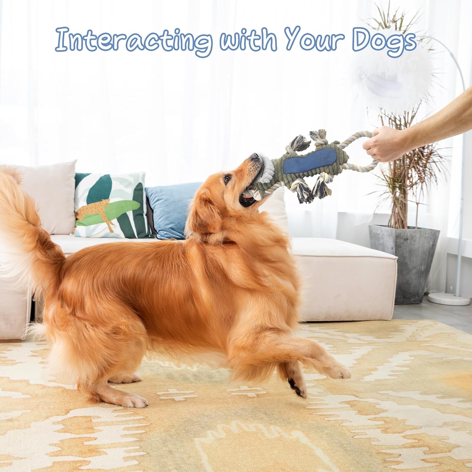 Funny Plush Dog Chew Toys, Squeaky Dog Toys, Interactive Tug of War Puppy Toys, Stuffed Dog Toys for Small, Medium