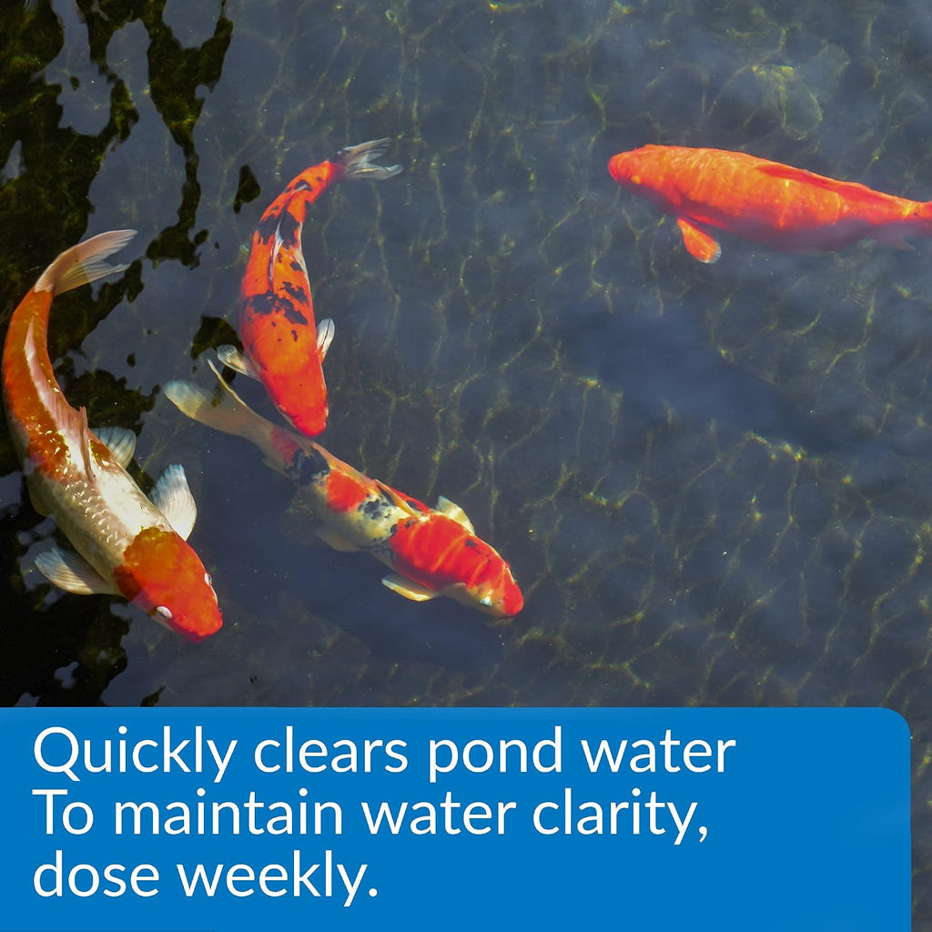 Pond ACCU-Clear (32 fl oz) Water Clarifier - Improves Filter Efficiency