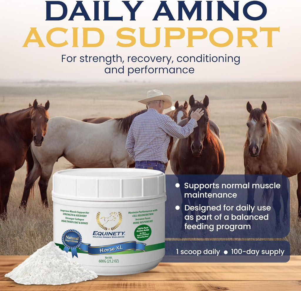 100-Day Supply Equinety Horse XL Powder Horse Supplement with Amino Acids