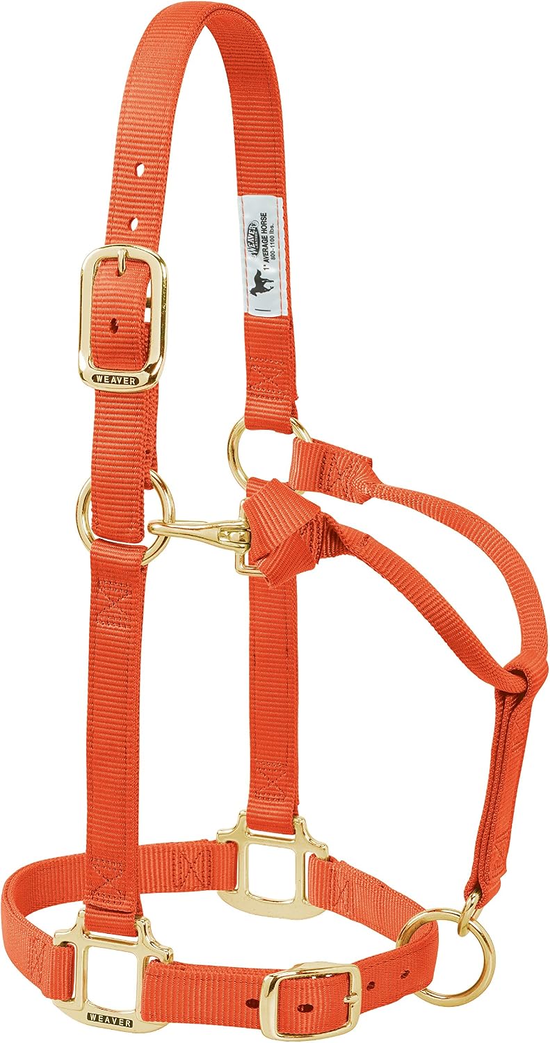 Weaver Leather Original Adjustable Nylon Horse Halter, Average Horse, Orange