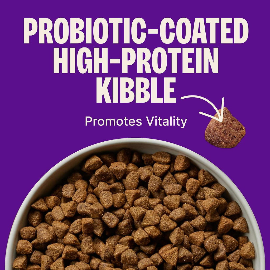 CORE Small Breed Puppy Dry Dog Food, Grain Free Kibble, Natural, High Protein, Turkey and Salmon Recipe, 4 lb Bag
