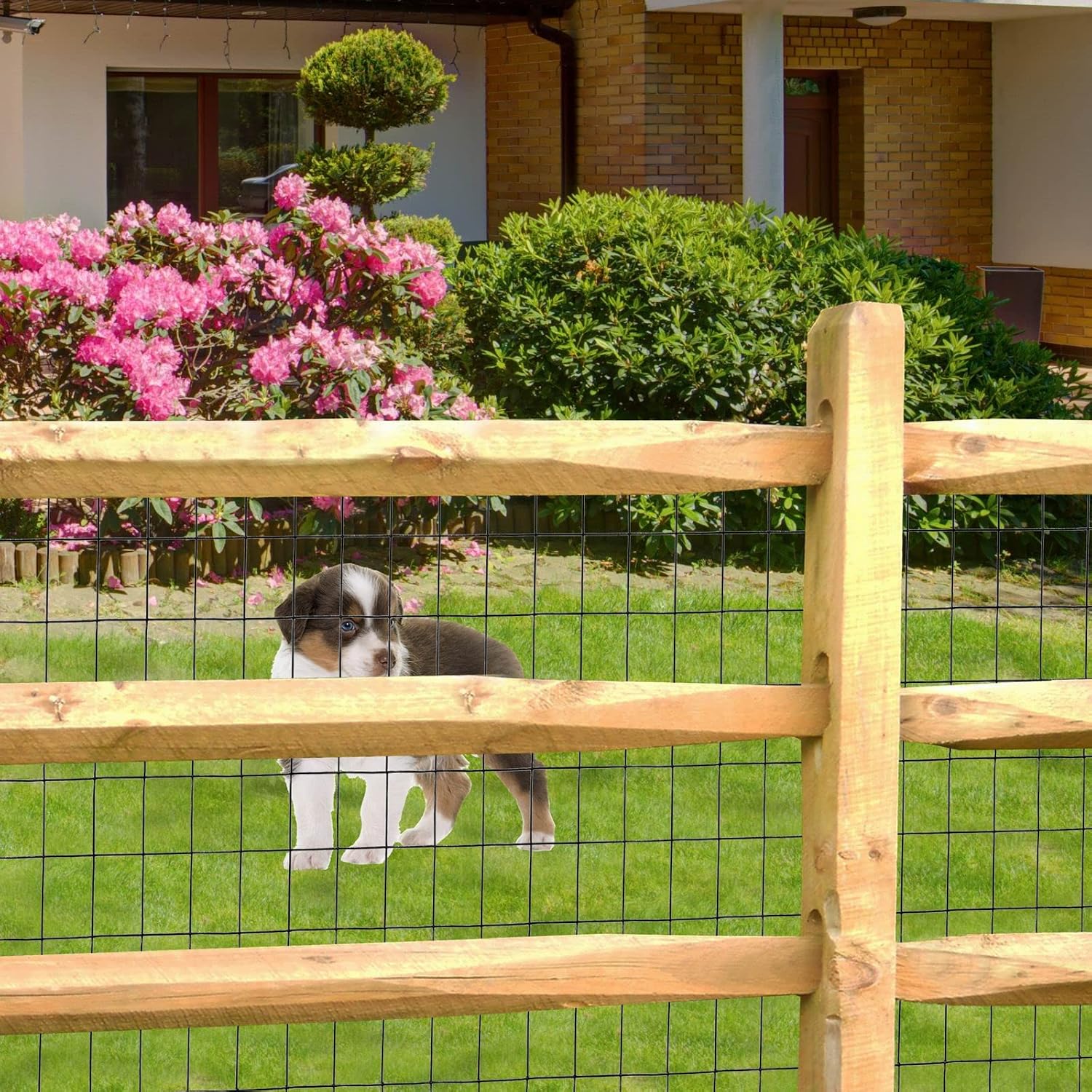 Black PVC Coated Welded Wire Fence 48" x 50' Roll, 2"x3" Mesh, 16 Gauge