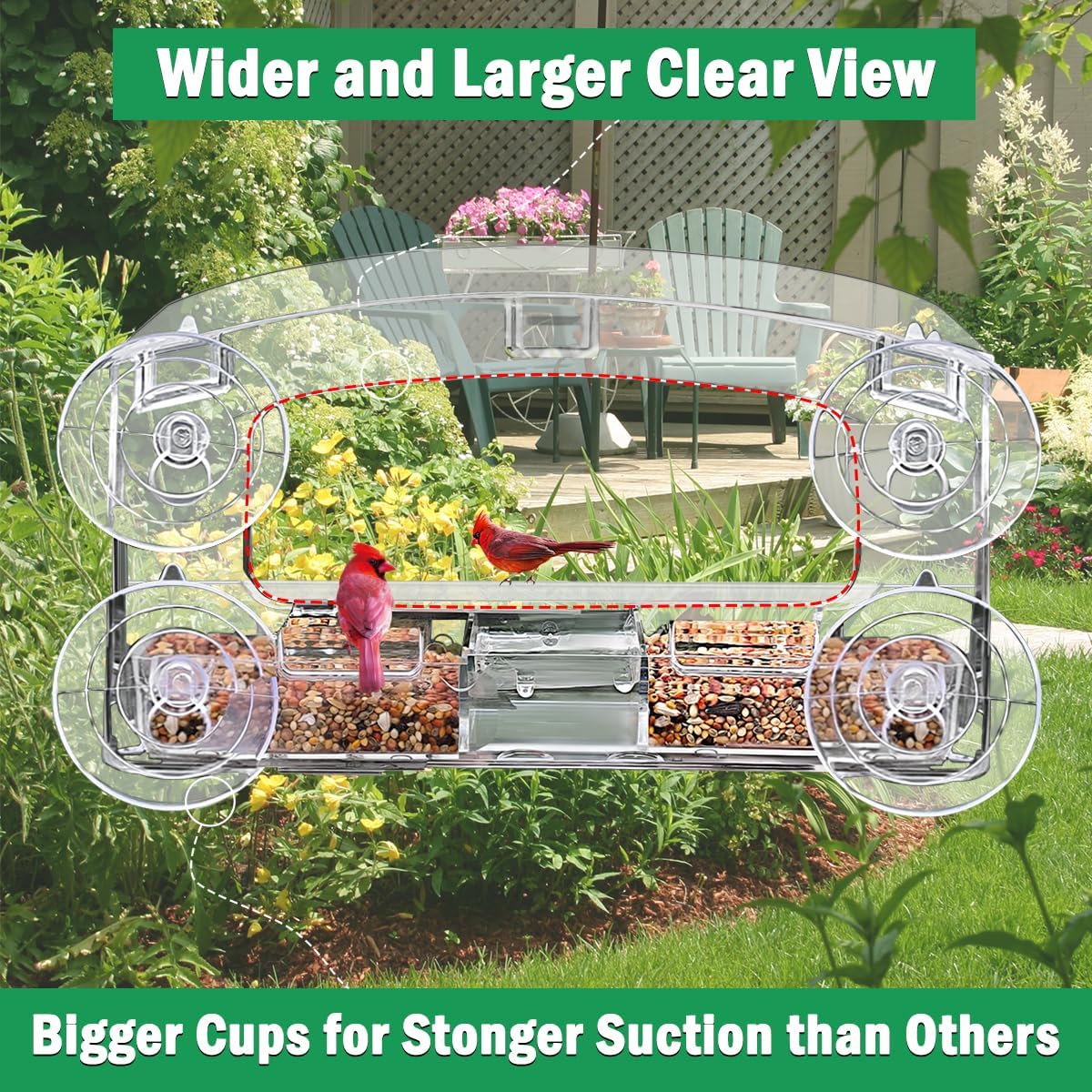 Window Bird Feeder with 4 Strong Suction Cups