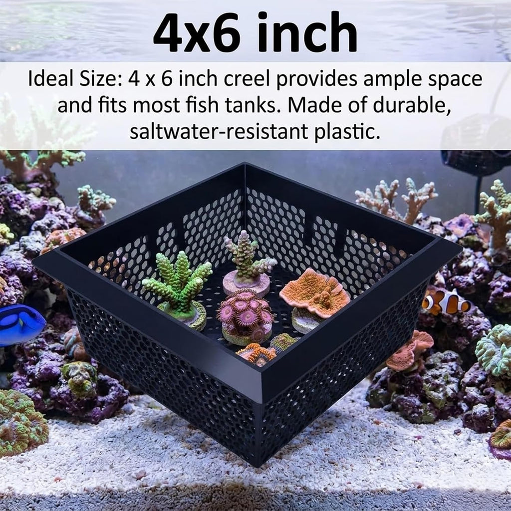 Floating Coral Basket for Reef Tanks (4x6 inch), Anemone and Frag Isolator Cup Mount, Saltwater Aquarium Safe