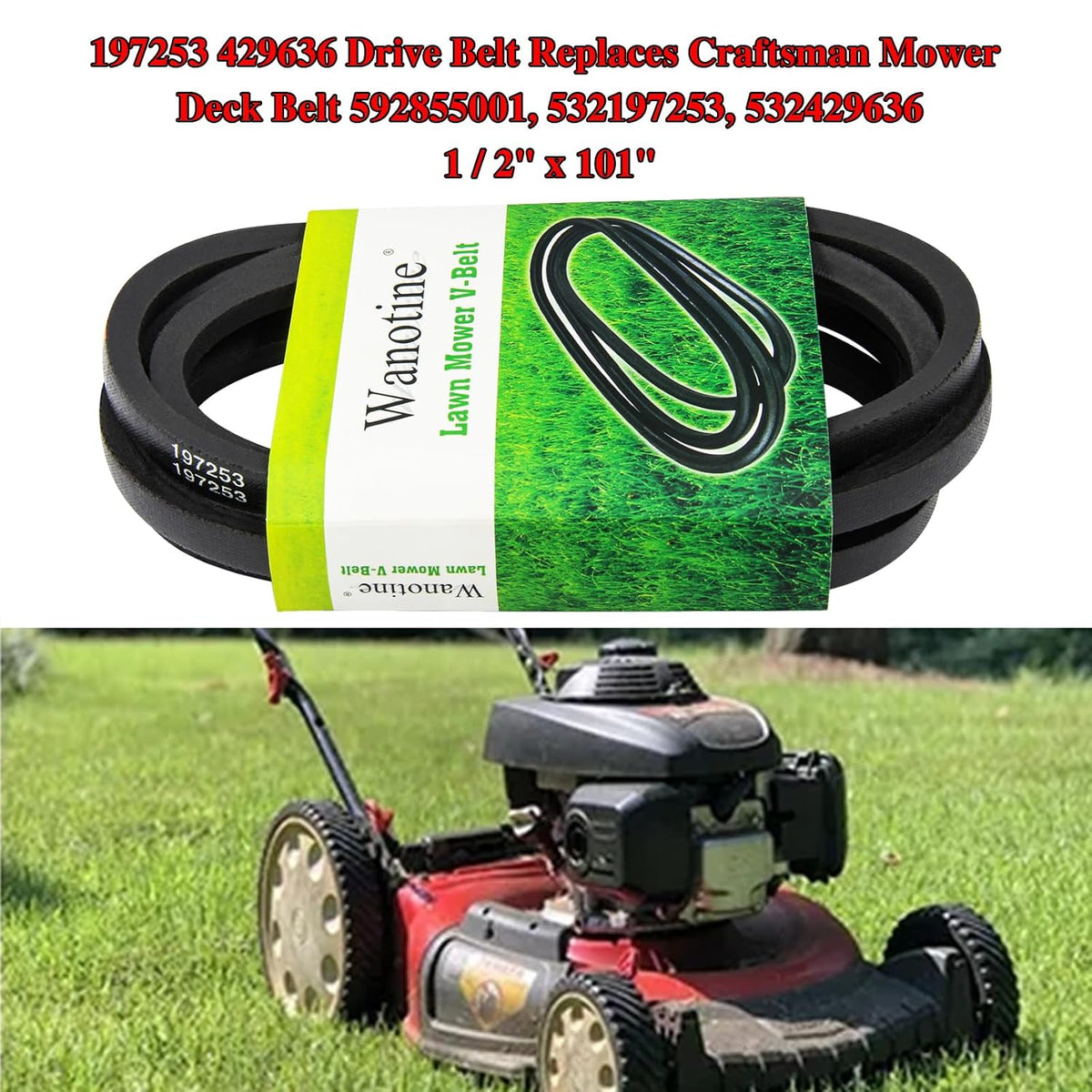 197253 429636 Drive Belt Replaces Craftsman Mower Deck Belt 592855001, 532197253, 532429636, Fits Husqvarna Craftsman AYP Poulan 42 inch Deck Lawn Tractor Mower (1/2" x 101")