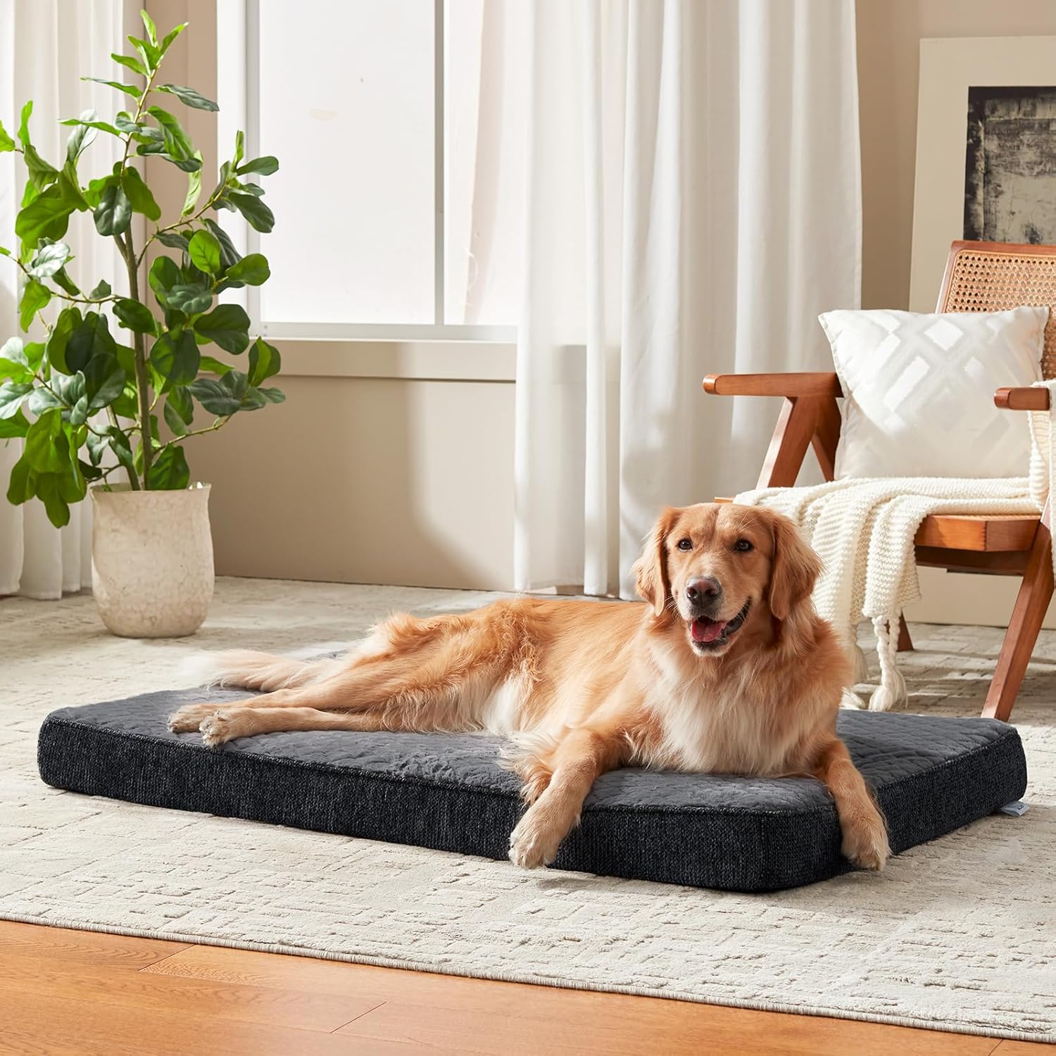 Orthopedic XL Dog Bed for Large Dogs, Waterproof Dog Bed for Crate with Washable Removable Cover, Extra Thick