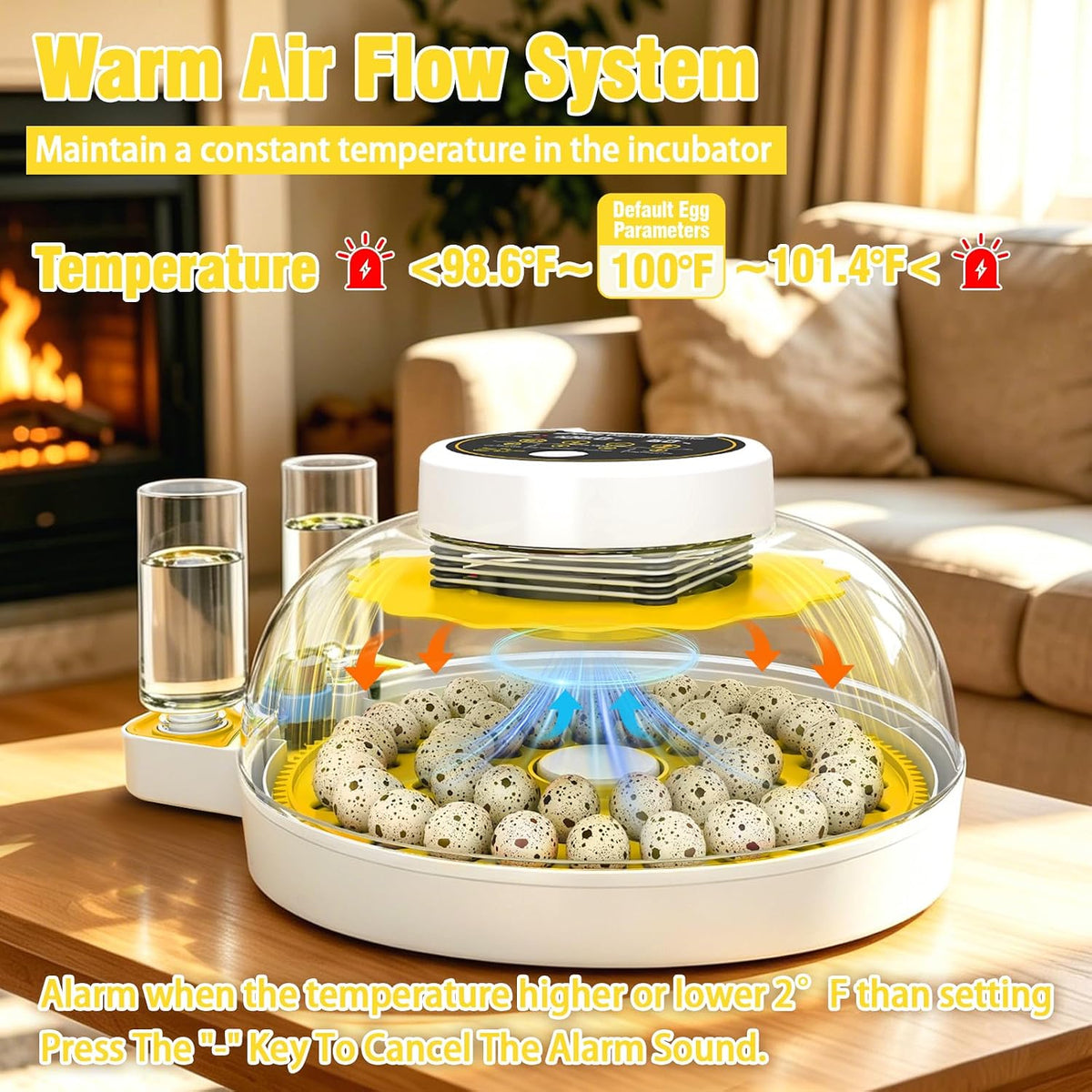 40 Quail Egg Incubator with Automatic Egg Turning Humidity Control Eggs