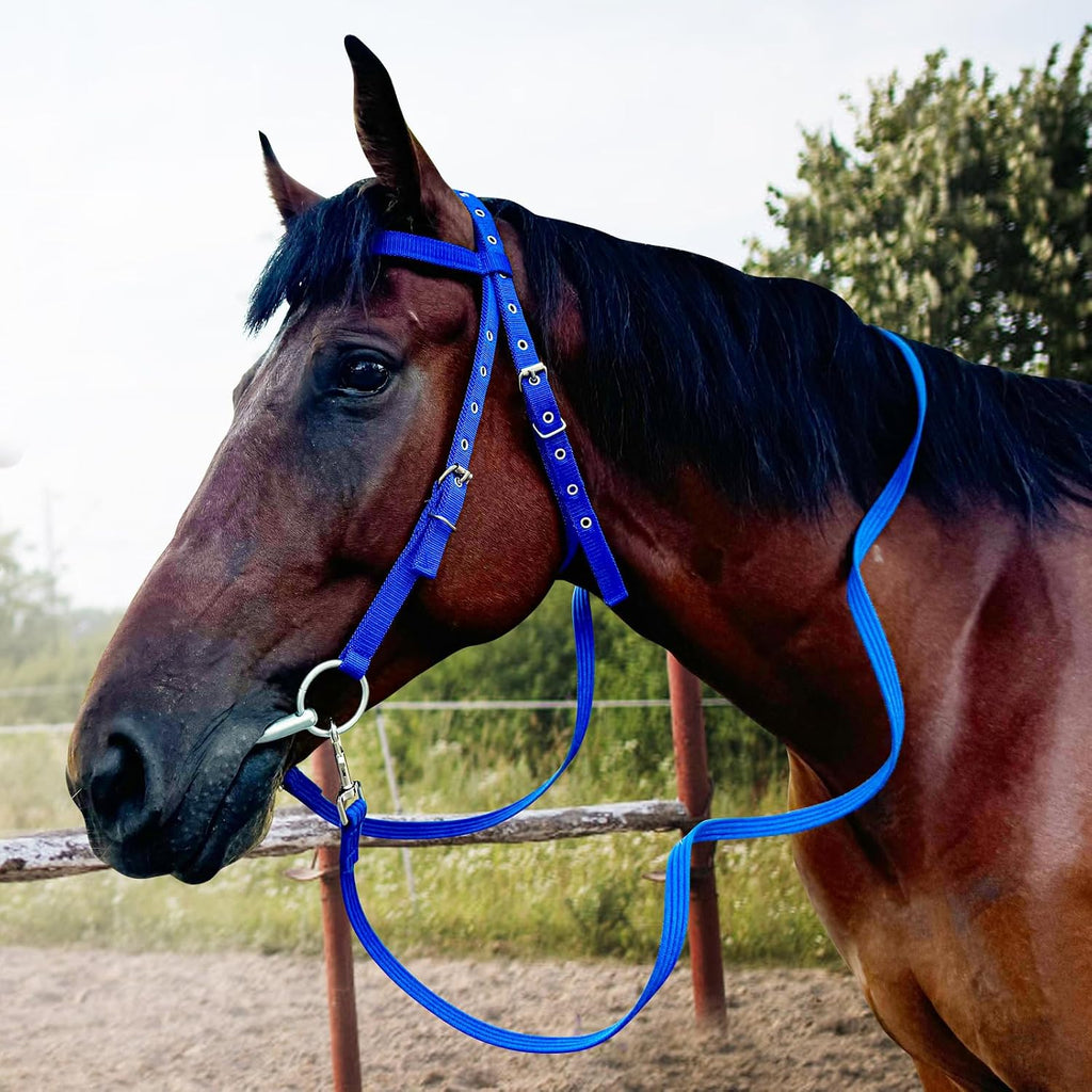 Adjustable Horse Bridle with Stainless Steel Bit, Black Nylon Headstall with Reins, Non-Slip Design