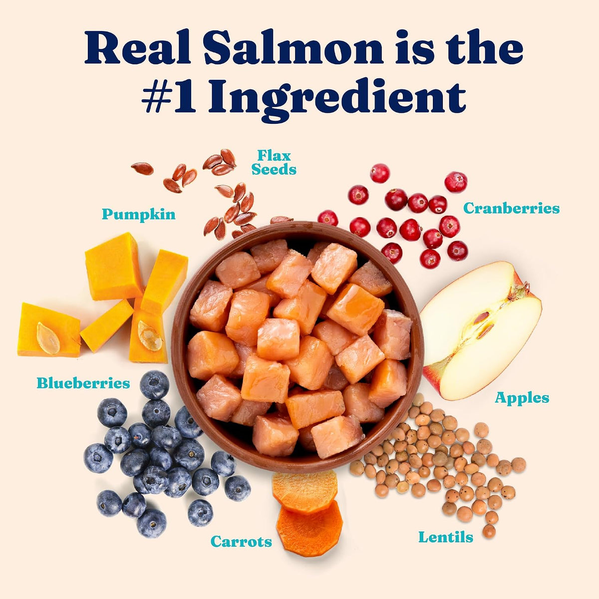 Indoor Salmon Dry Cat Food, High Fiber, Adult & Senior Cats, 3LB