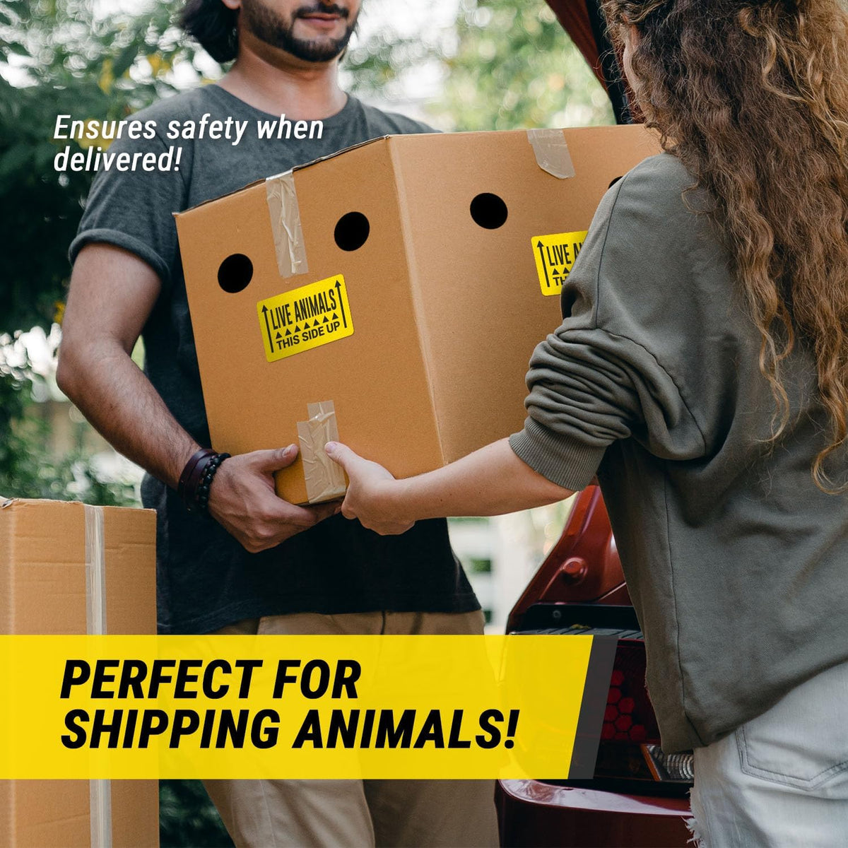 Live Animals This Side Up Stickers, 5 x 3 inch, Yellow, 300 Labels