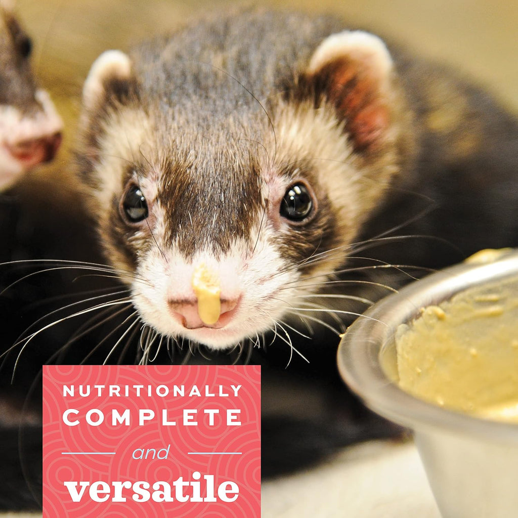 Critical Care Carnivore, Recovery Food For Cats & Ferrets, USA, 70 g