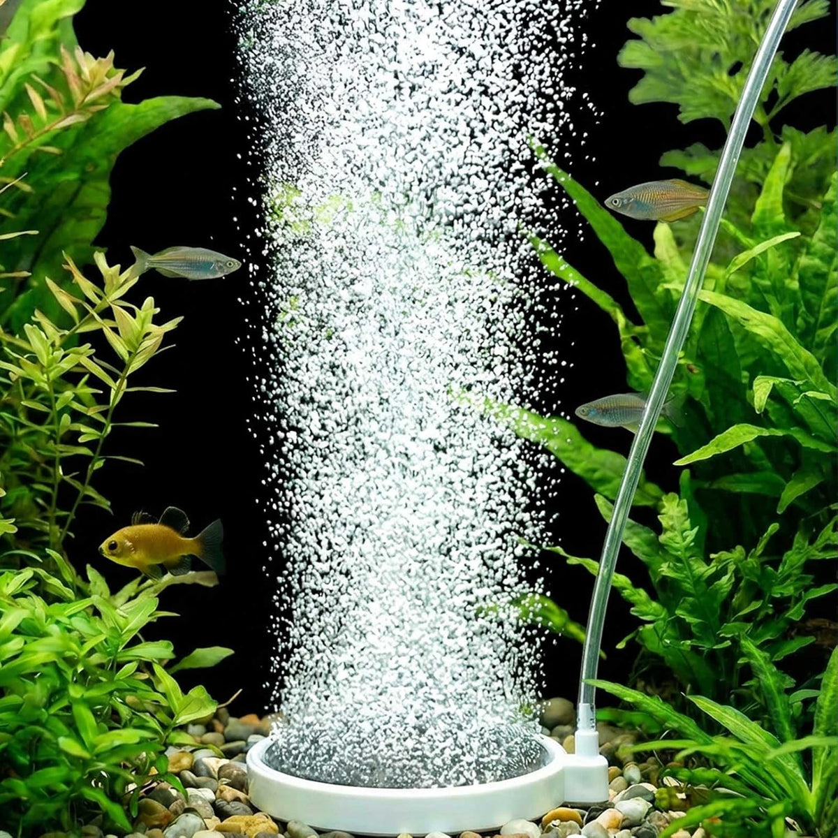 Fish Tank Bubbler, 3.2 Inch Aquarium Air Stone Kit, Nano Quiet Oxygen Diffuser for 20-70 Gallon Tanks, High Dissolved
