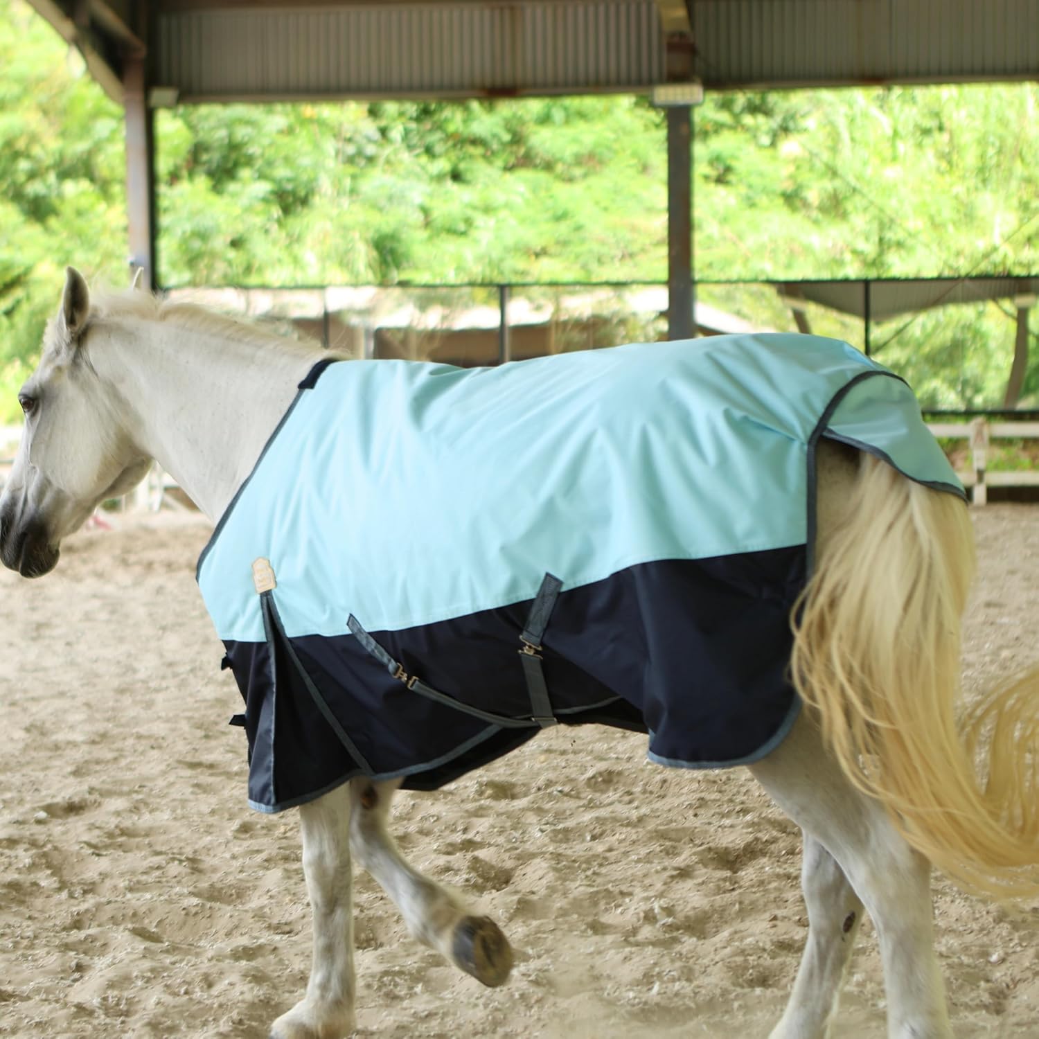 600Denier 3000mm/3000mvp Super Waterproof & Breathable Horse Blankets for Winter with 200g Fill