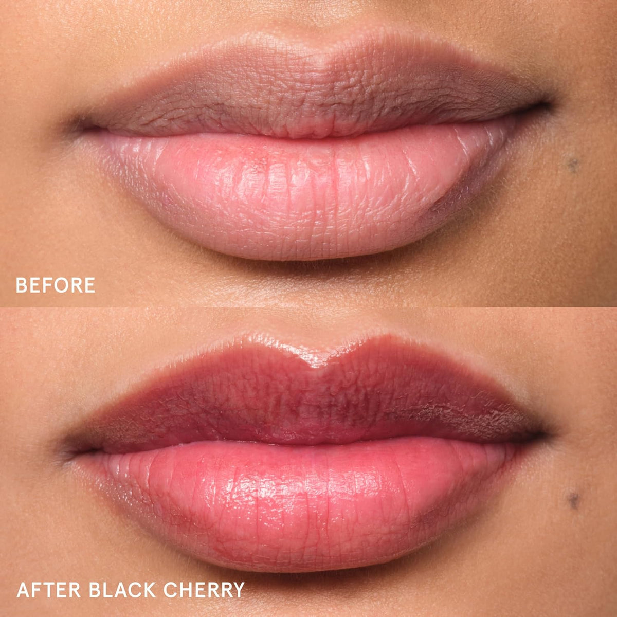 Balm Dotcom Lip Balm & Universal Salve, Black Cherry Burgundy Tint