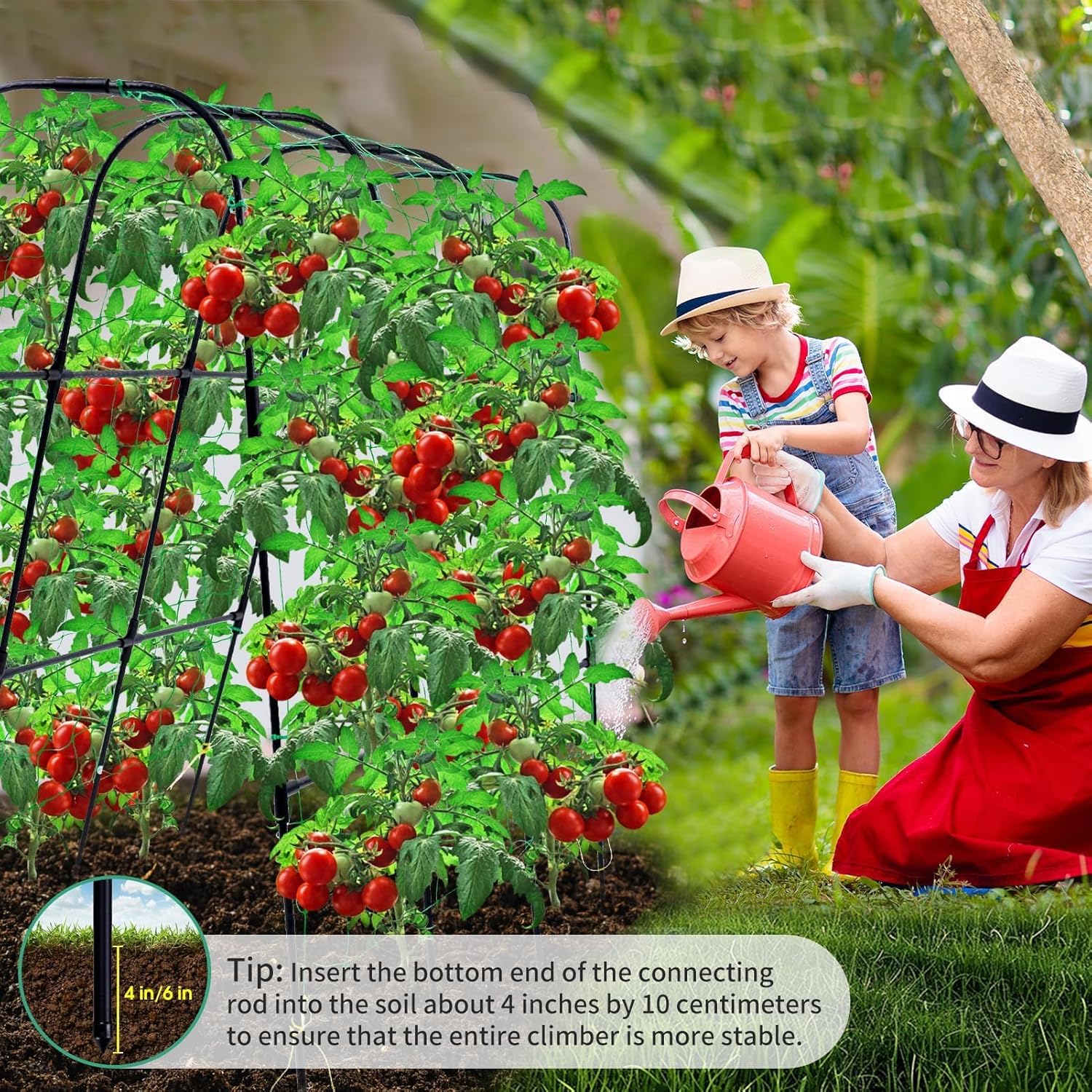 Cucumber Trellis, 50x48 inch Garden Arch Trellis for Climbing Plants Outdoor, Rustproof Metal Plant Support Vegetable