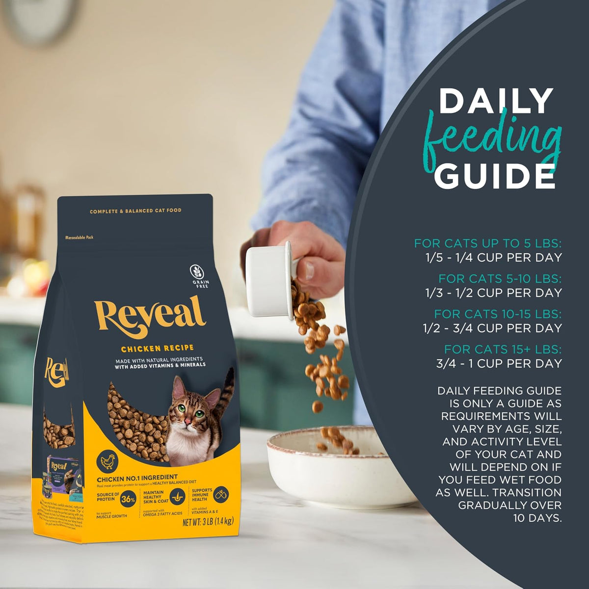 Chicken Recipe Grain Free Complete Dry Cat Food 7 lb Bag
