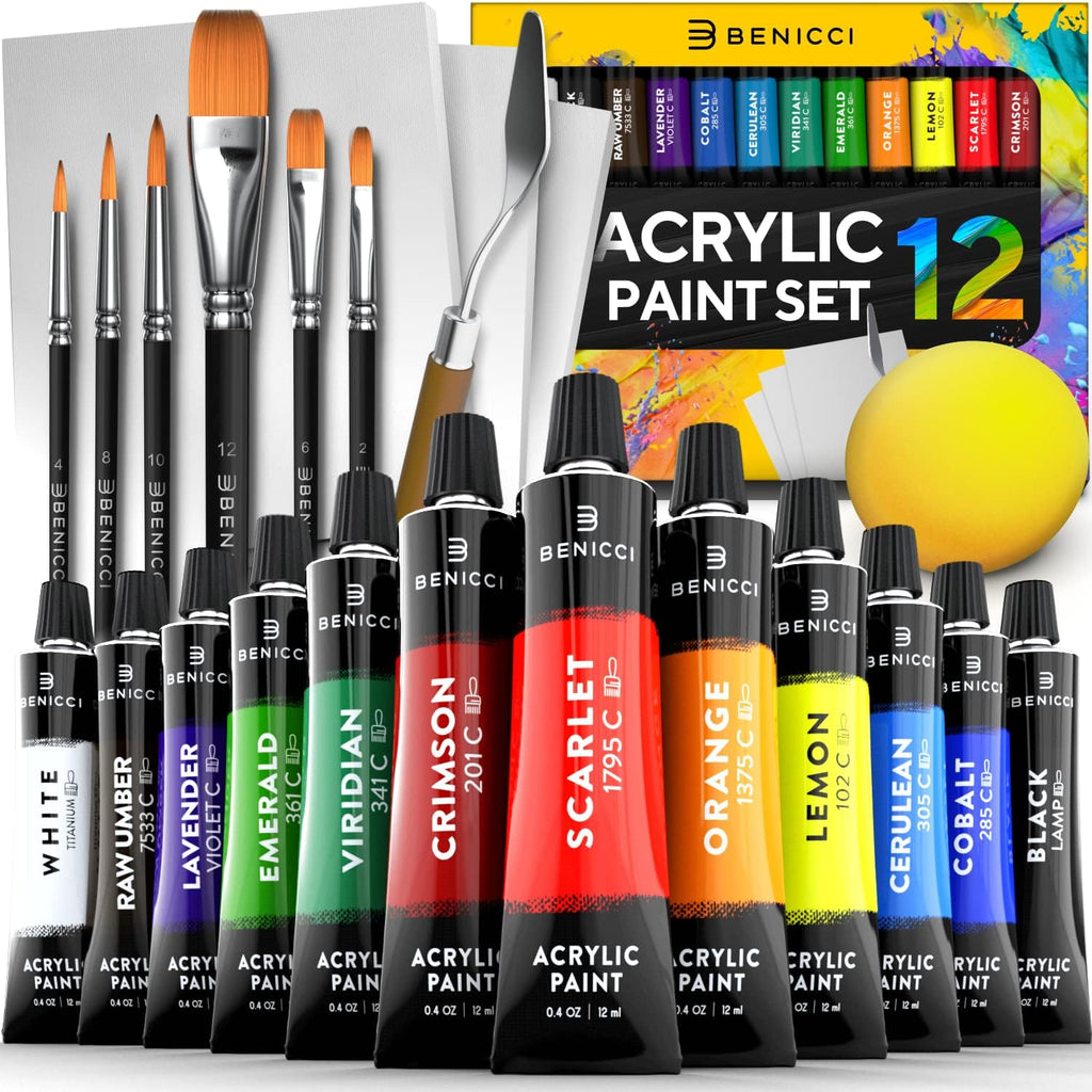 Complete Acrylic Paint Set – 12х Rich Pigment Colors & 6x Art Brushes - Includes 3 Paint Canvases, Palette Knife &