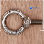 Stainless Steel Machinery Shoulder Lifting Eye Bolt (M6, 10 Items)