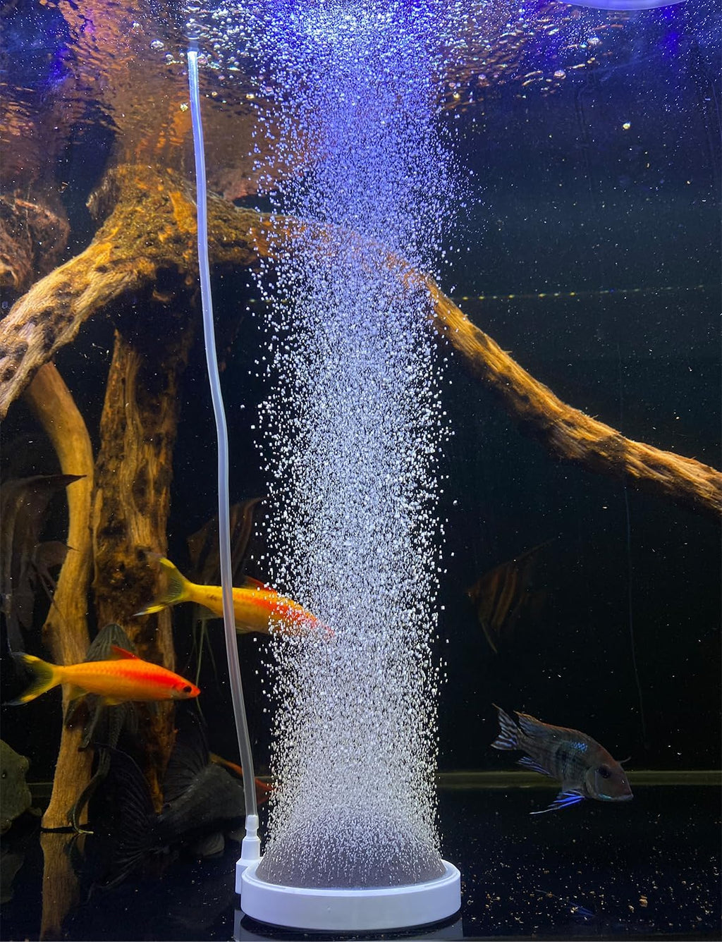 Nano Air Stone for Aquarium, Quiet Fine Bubble Diffuser