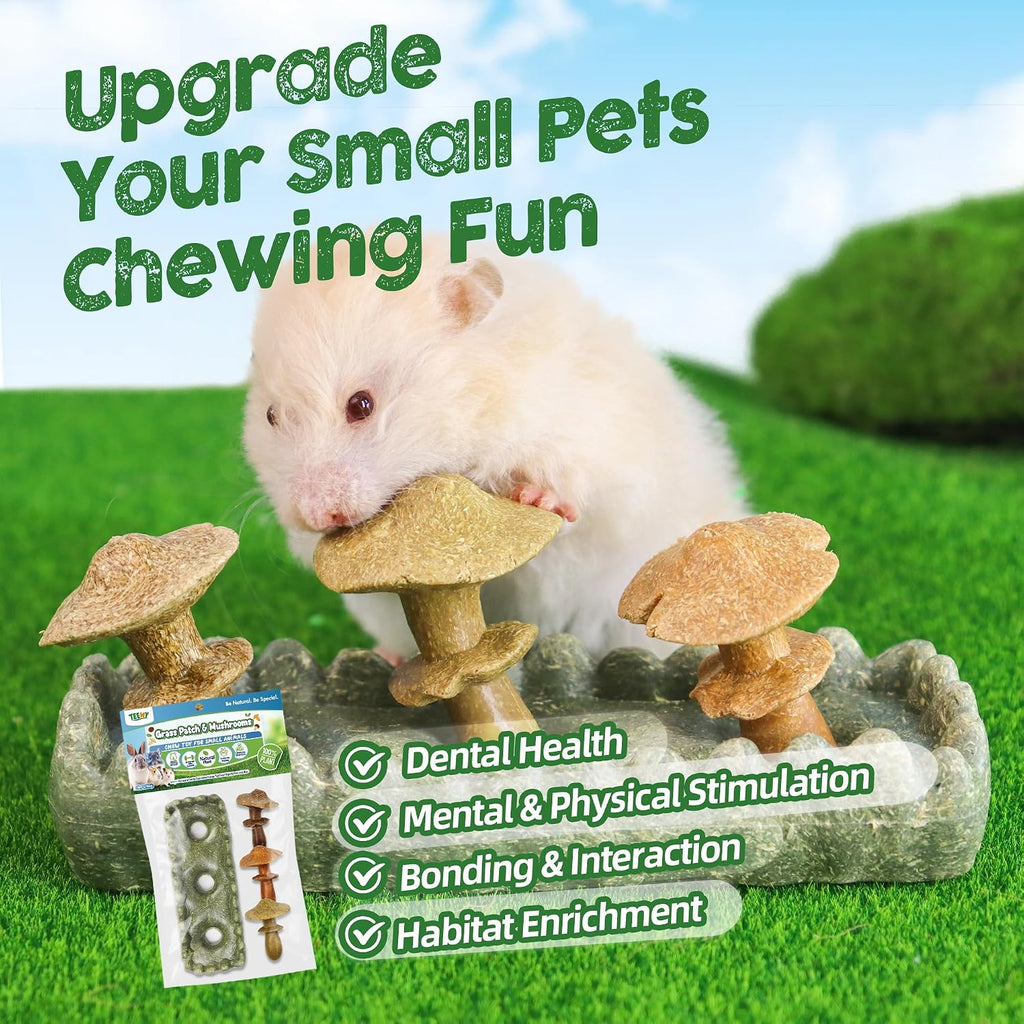 Guinea Pig Chew Toys, Prevent Teeth Overgrowth, Natural Timothy Grass & Vegetables, Hamster Chew Toys, Guinea Pig