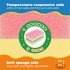 Scrub Sponge, Temperature Responsive Dual-Sided Cleaning Sponges