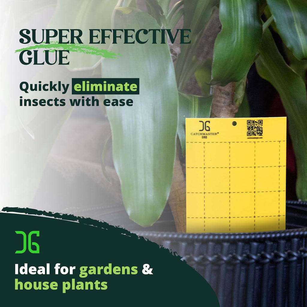 GRO Yellow Large Double Sided Sticky Traps 50PK, Adhesive Bug & Fruit Fly Trap, Pest Control for Home, Farm, Garden
