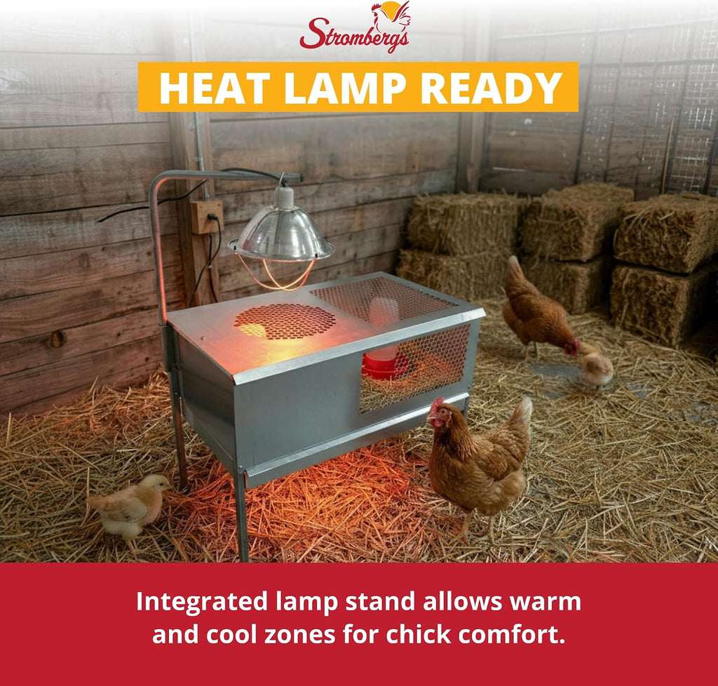 Stand Up Chick Brooder, Elevated Chicken Brooder Pen with Lamp Stand, Removable Tray, Wire Floor, Ventilated Steel