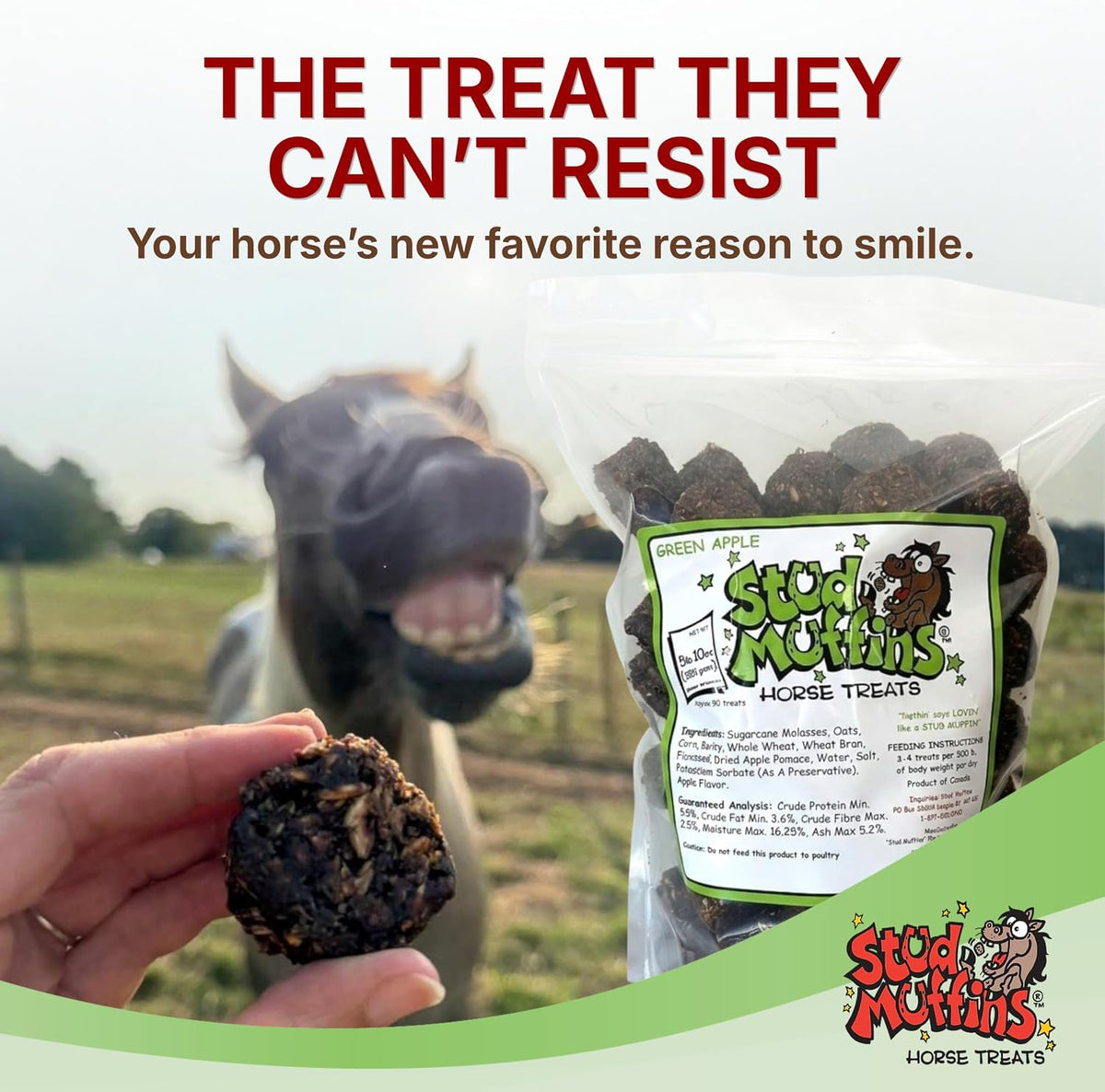 Horse Treats, Green Apple Flavor - 5 lb 10 oz Resealable Bulk Bag (Approx. 90 Treats), 100% Handmade Horse Cookies
