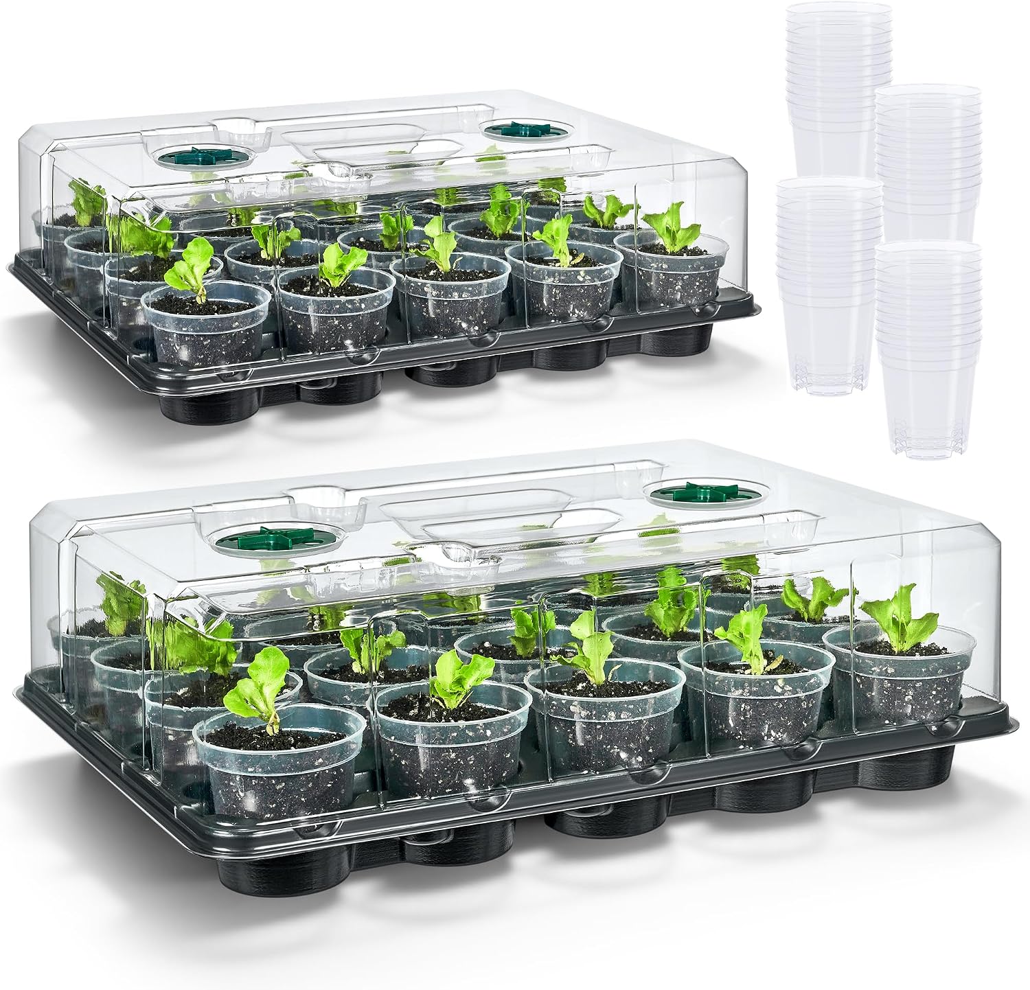 2 Pack 20 Cell Seed Starter Trays with Humidity Domes and 40 Pots | Includes 2 humidity domes and 40 clear 3 inch