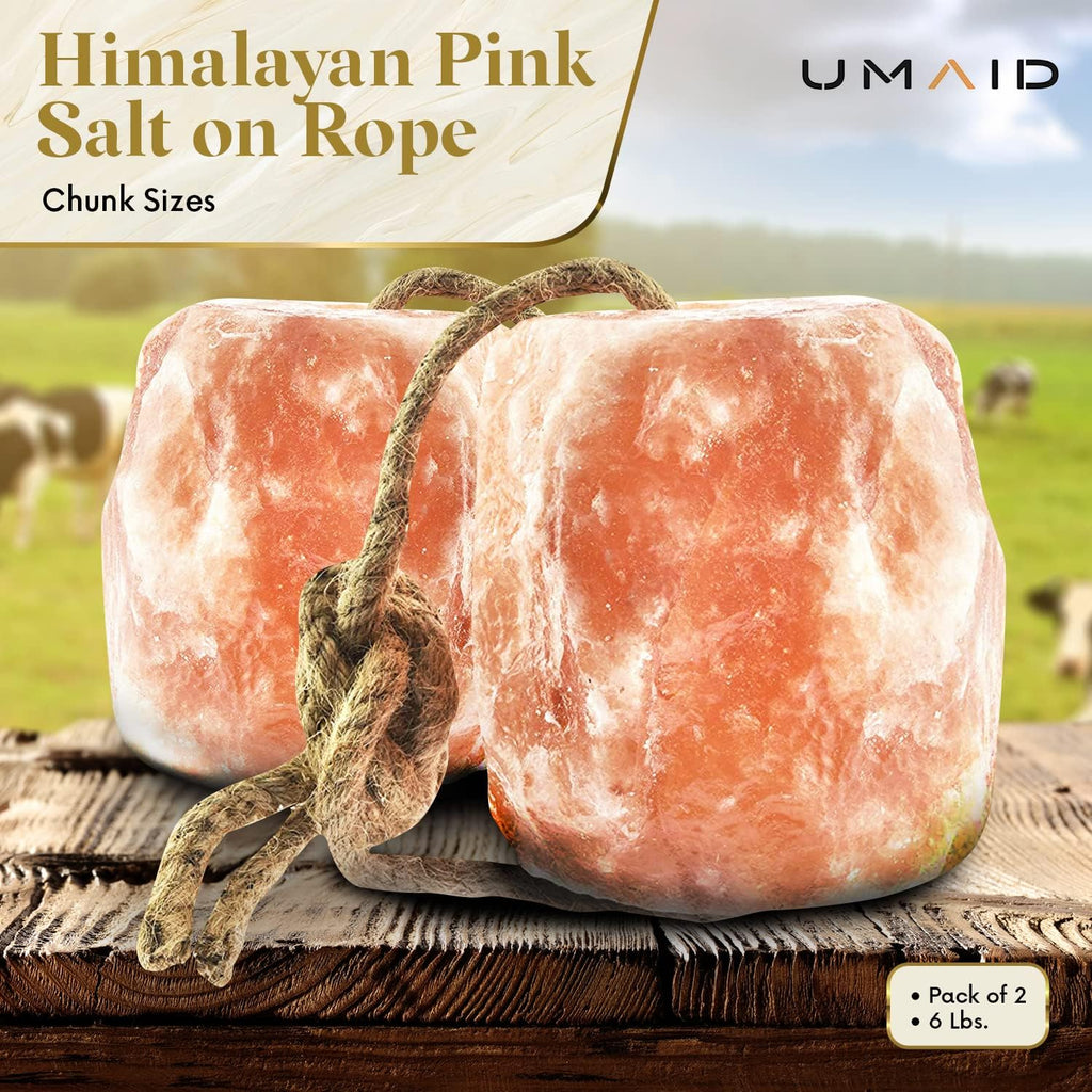 Himalayan Salt Lick 6 lbs on Rope for Horse, Deer, Goat & Livestock Animals, Salt Lick Deer, Salt Lick for Horses