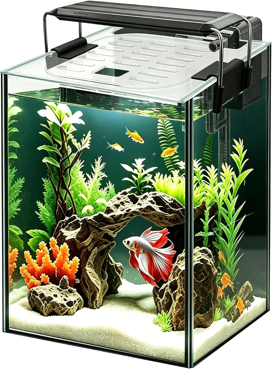 Glass Aquarium Starter Kits 1.5 Gallon Small Fish Tank, Betta Fish Tank for Home Office Deco, with LED Light, Power