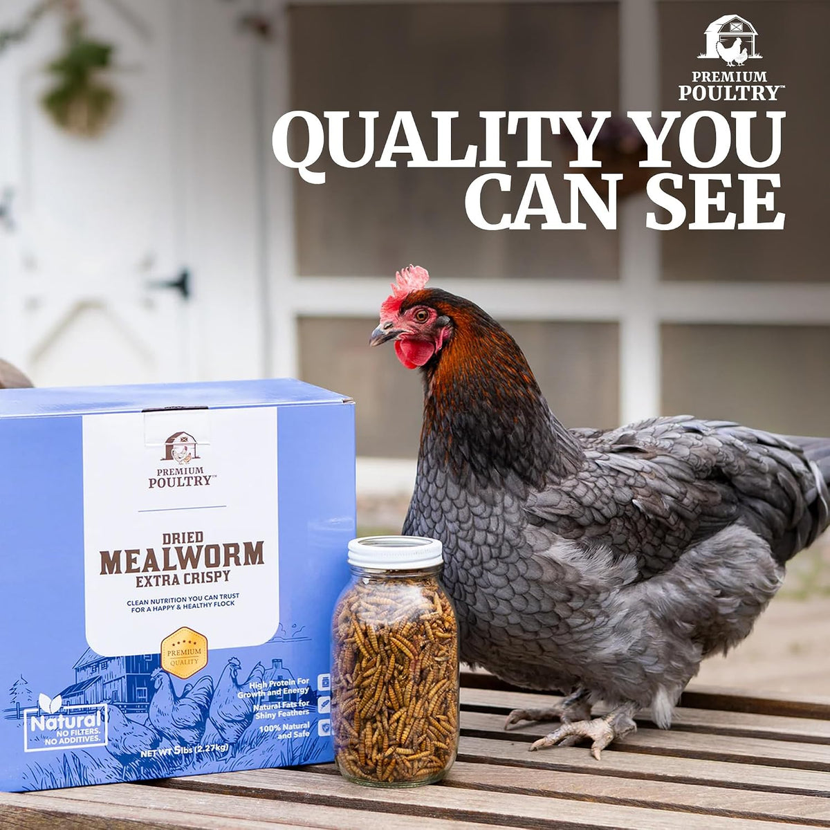 Mealworms for Chickens & All Birds, Non GMO & Organic, 5lb